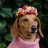ItsMeMartha