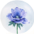 Daffodils_androses