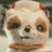 Ashfox