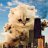 Catzilla